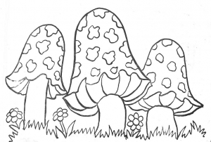 Image de champignon à télécharger et colorier