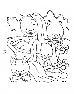 Coloriage de chat à colorier pour enfants