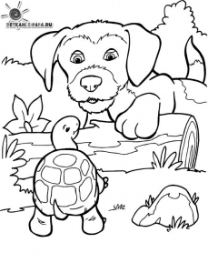 Coloriage de chien avec tortue