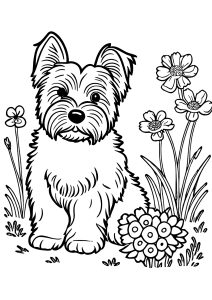 Joli chien et fleurs