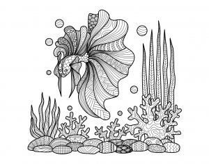 coloriage-pour-adulte-difficile-zentangle-poisson-sur-coraux-par-bimdeedee-gratuit-a-imprimer