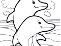 Image de dauphins à télécharger et colorier