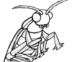 coloriage-insectes-3