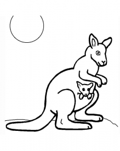 Dessin de kangourou gratuit à télécharger et colorier