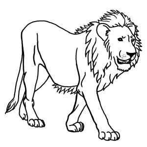 coloriage-lion-2