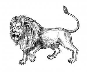 coloriage-lion-afrique