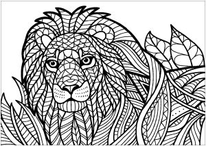 Lion et motifs à mettre en couleur