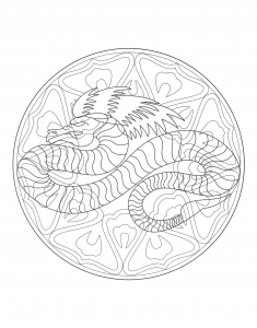 coloriage-a-imprimer-mandala-dragon-4