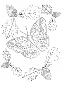 Dessin de Papillons gratuit à télécharger et colorier