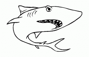 Image de requin à télécharger et colorier