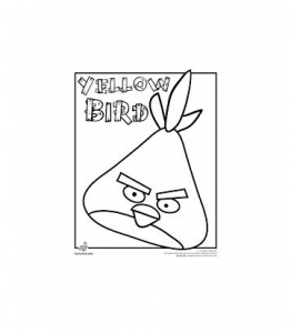 Image de Angry birds à télécharger et colorier