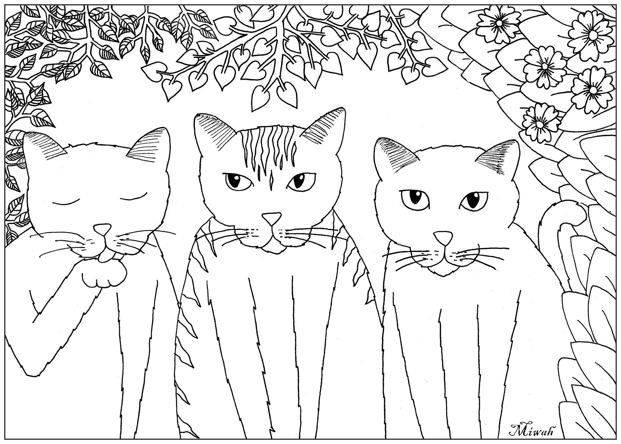 Trois jolis petits chats