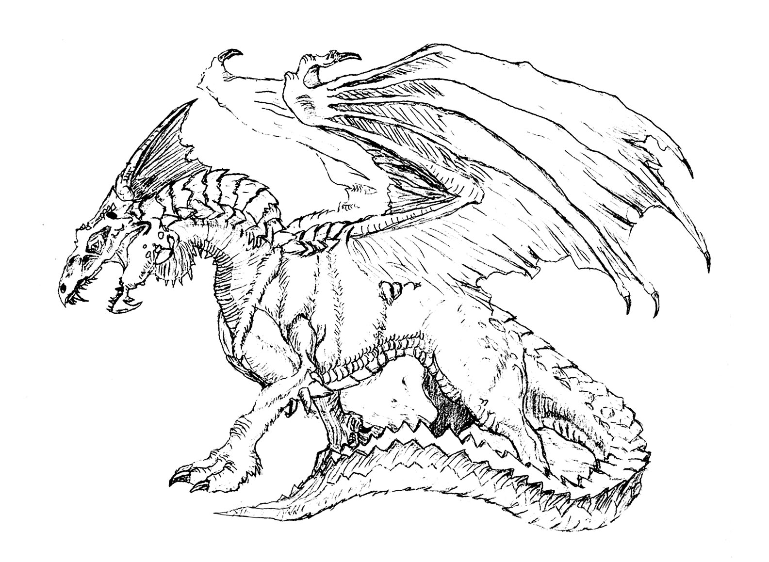 dragon dessin