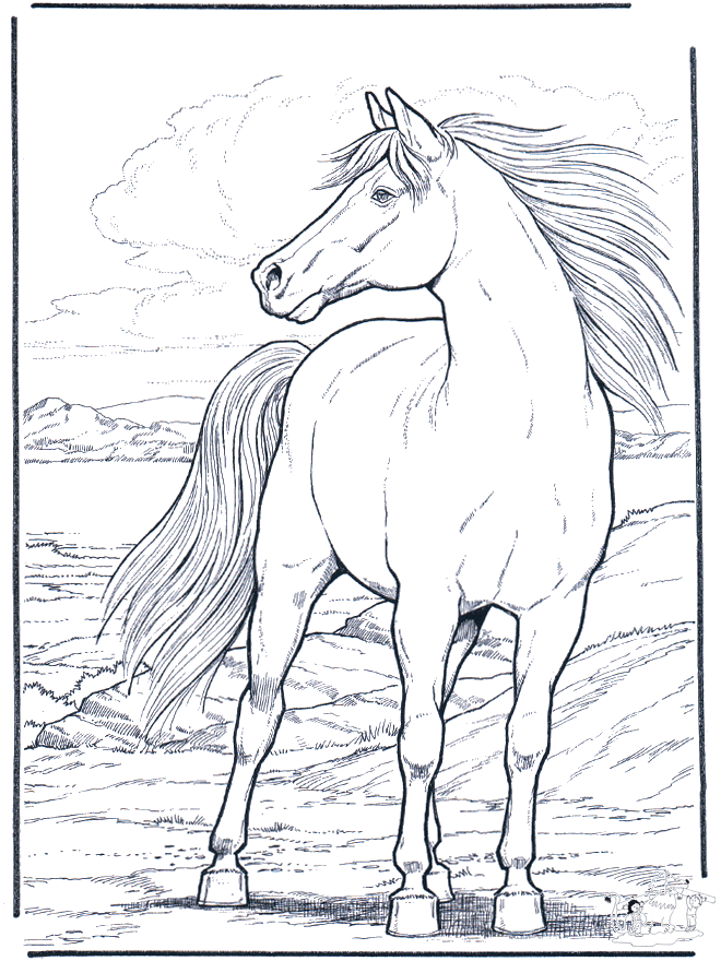 Cheval dans le vent - Coloriages de chevaux et poneys - Coloriages pour enfants