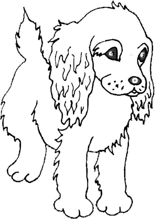 Chien Au Grands Yeux Coloriages De Chiens Coloriages Pour Enfants