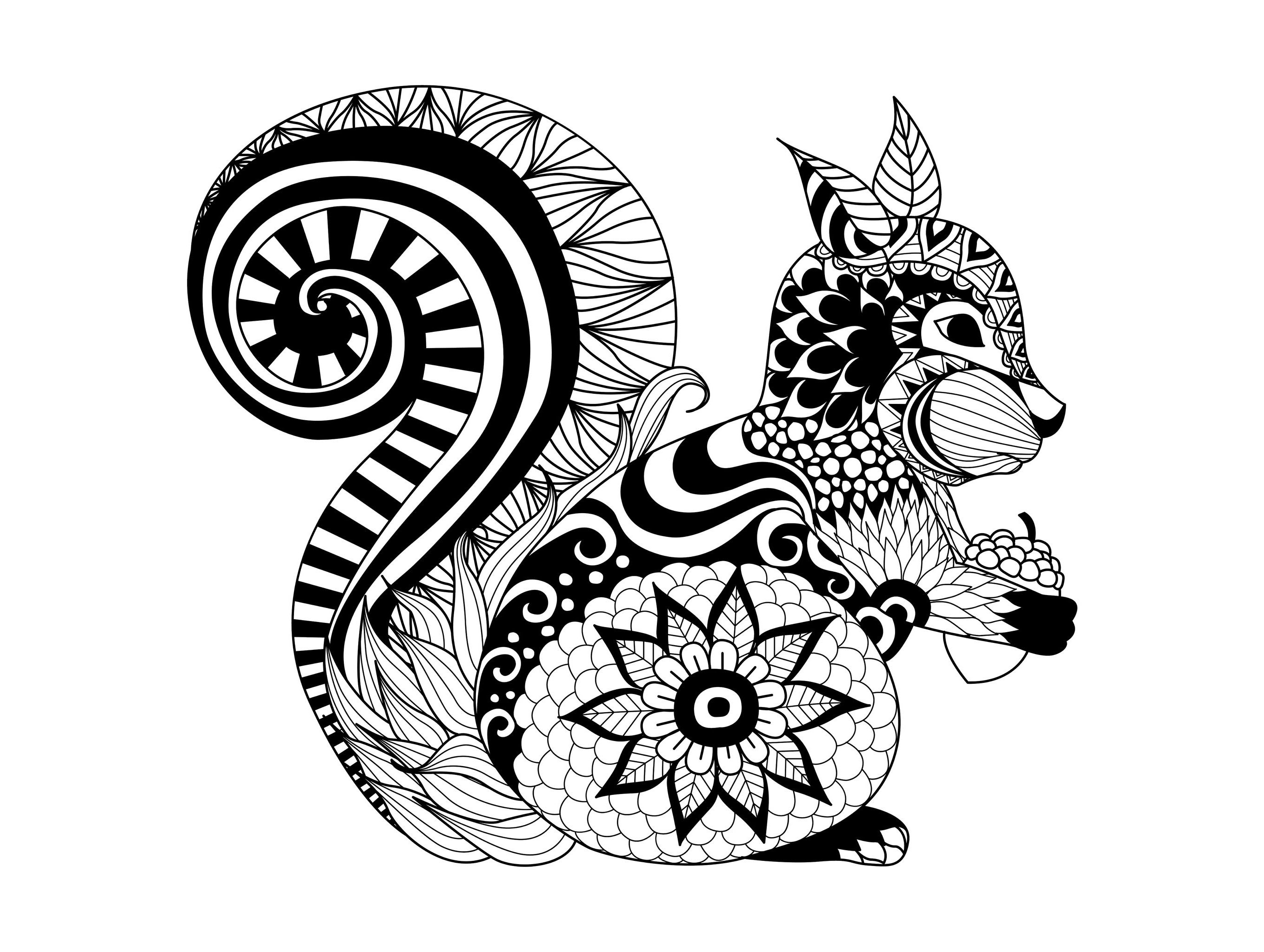Joli écureuil   imprimer et colorier style Zentangle par Bimdeedee