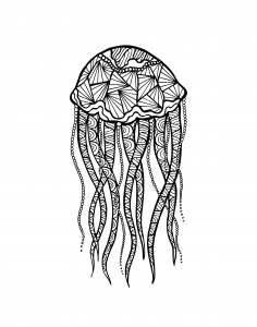 Coloriage pour adulte difficile zentangle meduse par meggichka gratuit a imprimer