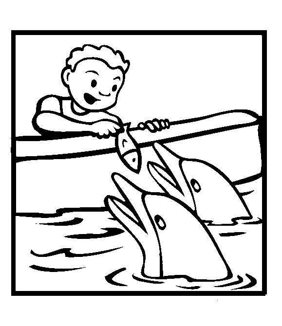 Enfant donnant à manger à deux dauphins