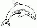 Coloriage de dauphin pour enfants