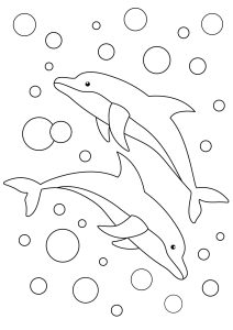 Deux dauphins et de belles bulles