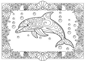 Joli dauphin dans un cadre plein de motifs marins