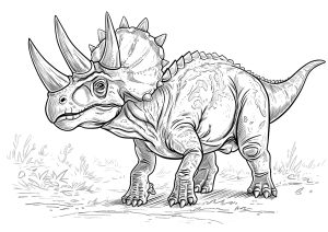 Triceratops simple à colorier