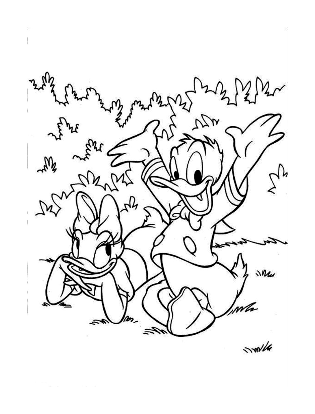 Donald et son amie Daisy en picnic