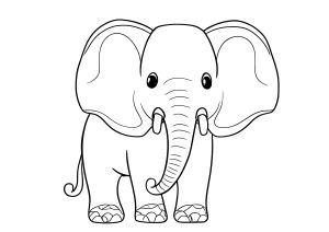 Elephant très simple à colorier
