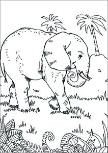 Éléphant marchant dans la Savane