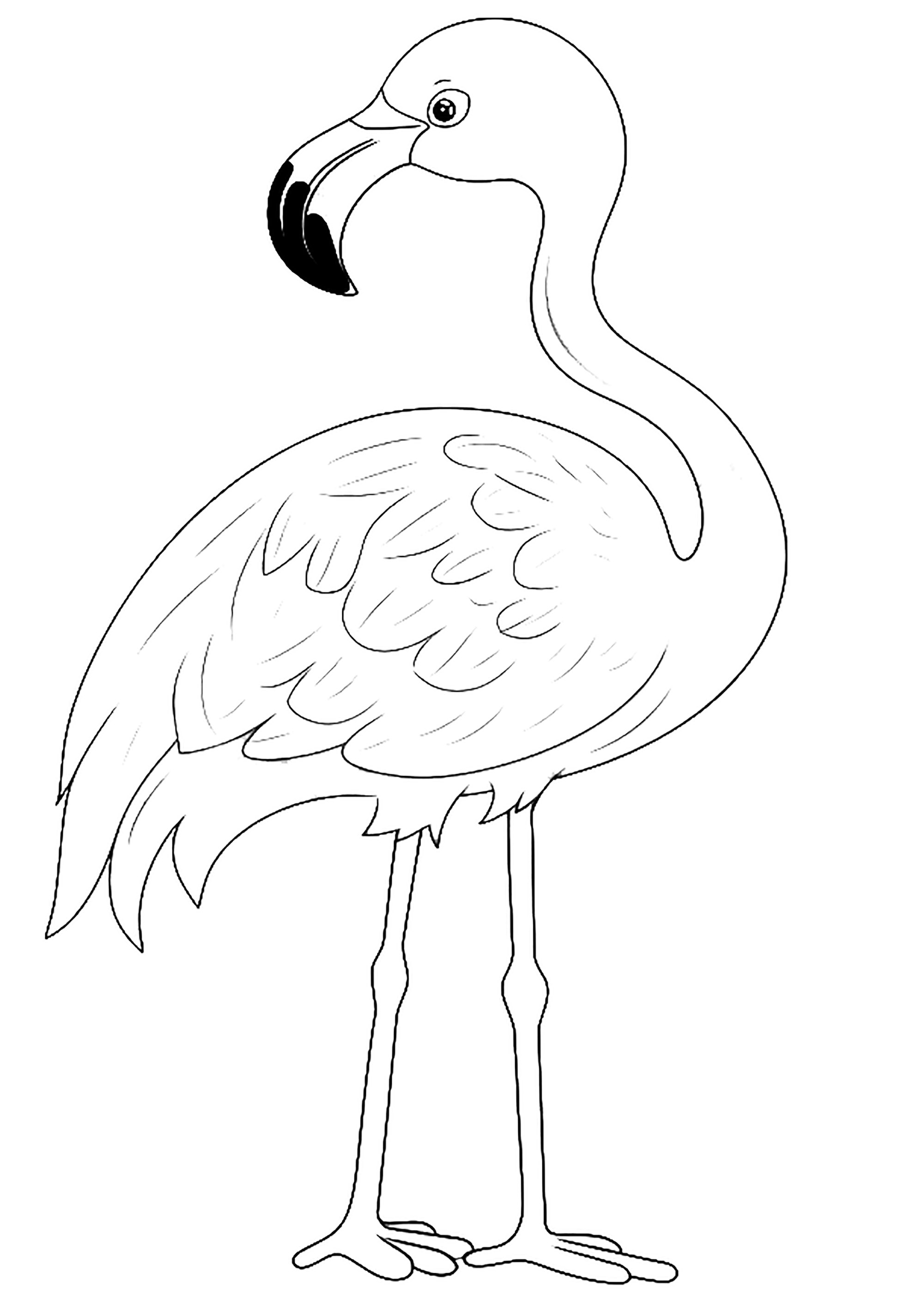 Coloriage Flamant Rose A Decalcer Anime Girl Drawing Step By Step Coloriage Flamant Rose A Decalcer Anime Girl Drawing Step By Step