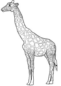 Girafe réaliste