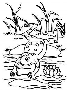 Image de grenouille à imprimer et colorier