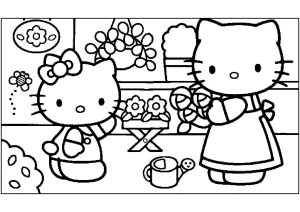 Hello Kitty et sa maman font un bouquet de fleurs