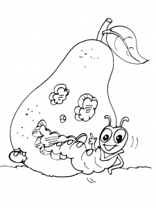 Coloriage insectes 6