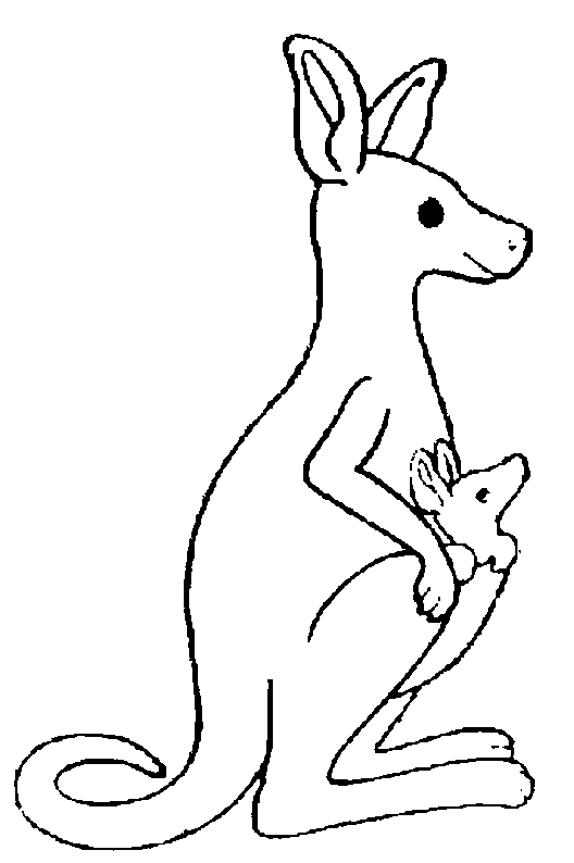 Dessin de kangourou gratuit à télécharger et colorier  Coloriage de