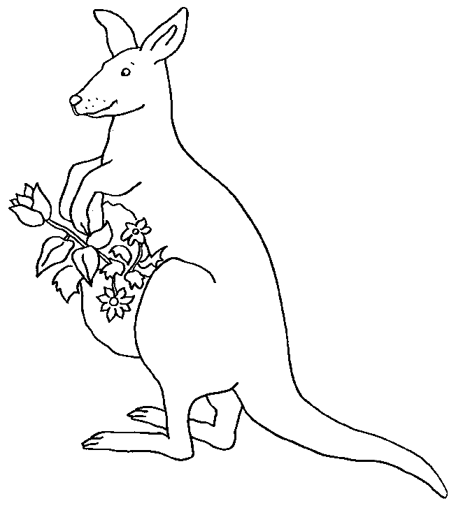 image=kangourous coloriage kangourou 11 2