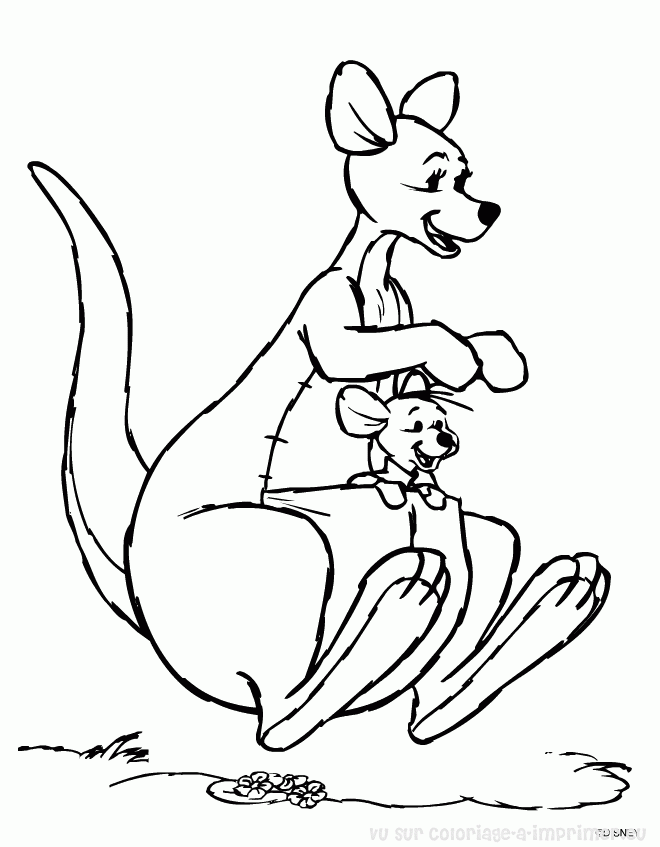 Dessin de kangourou gratuit à télécharger et colorier  Coloriage de