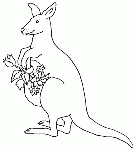 Coloriage de kangourou à telecharger gratuitement