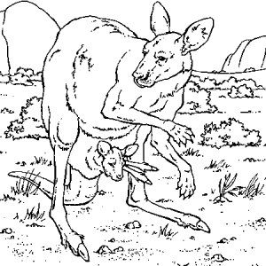 Coloriage de kangourou à imprimer gratuitement