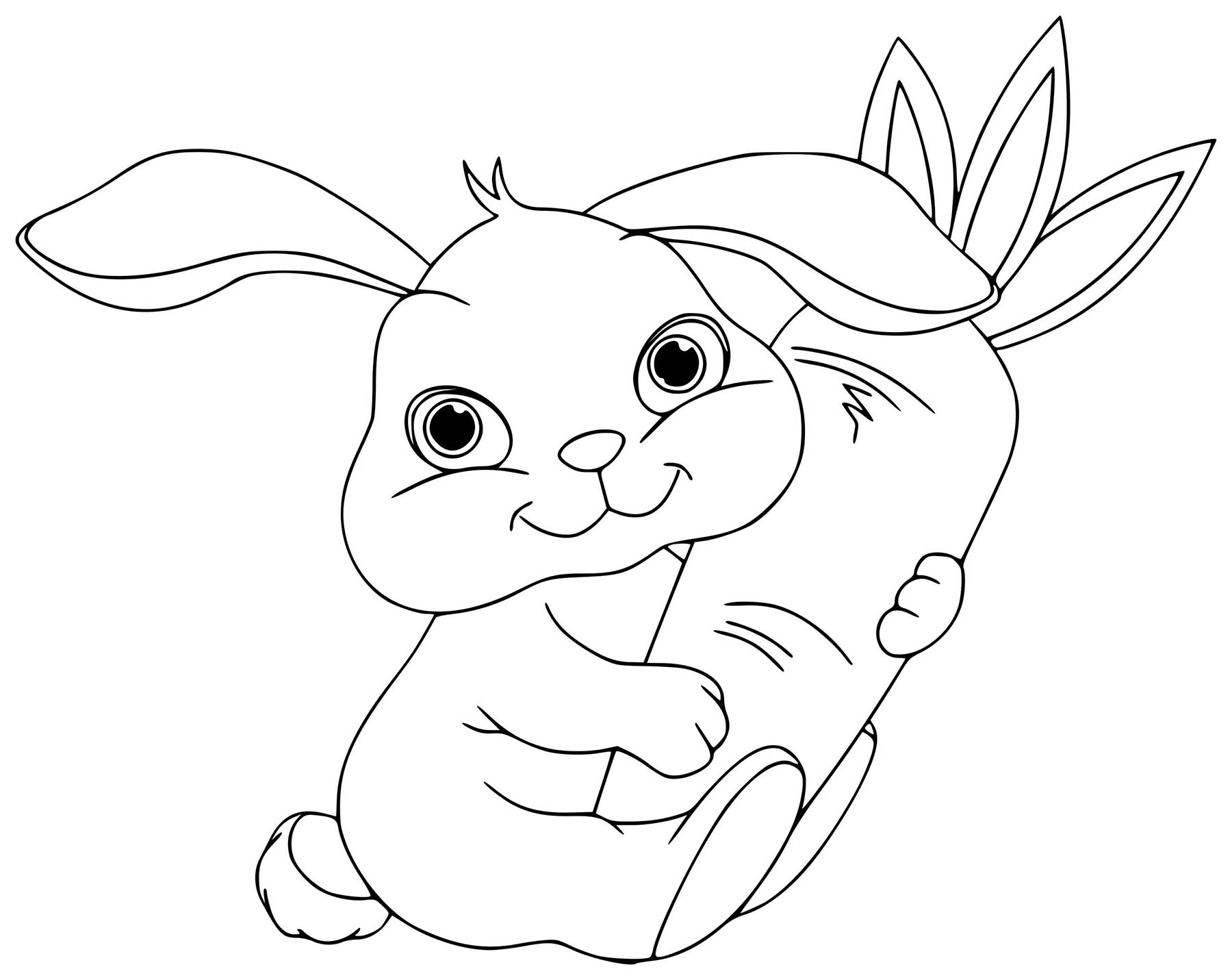 Coloriage Lapin 12 Coloriage Lapins Coloriages Animaux | Images and ...