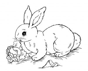 Image de lapin à imprimer et colorier