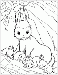 Coloriage de lapin à colorier pour enfants