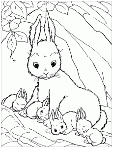 Coloriage De Lapins Coloriages Pour Enfants