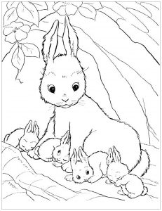 Image de lapin à imprimer et colorier
