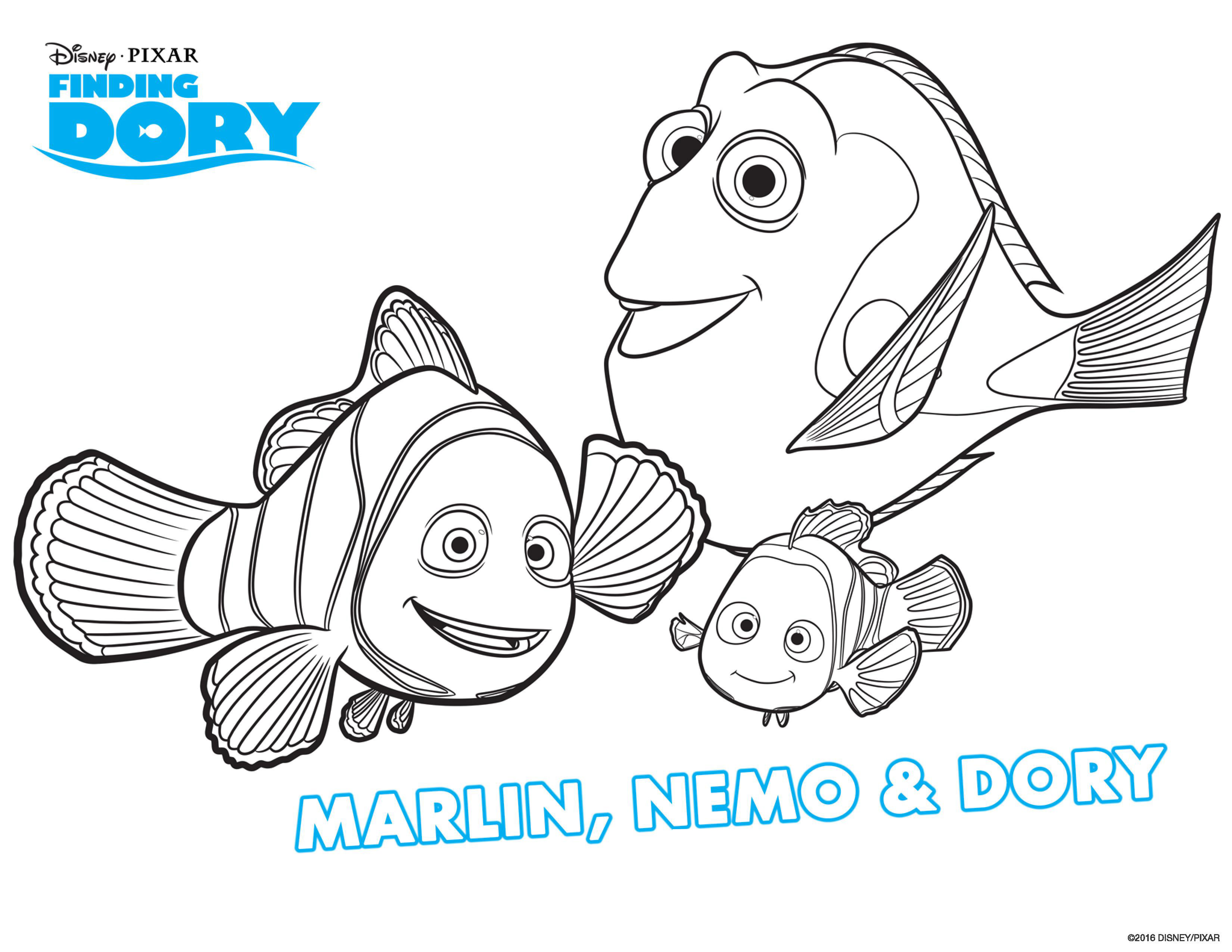 Dory, Marin et Nemo enfin à nouveau réunis