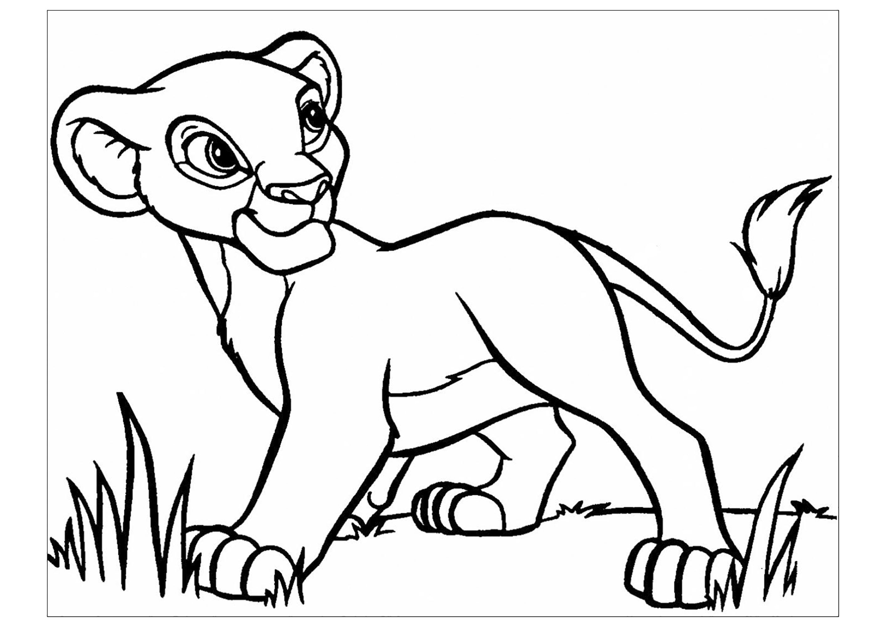 Simba Coloriage Le Roi Lion Coloriages Pour Enfants