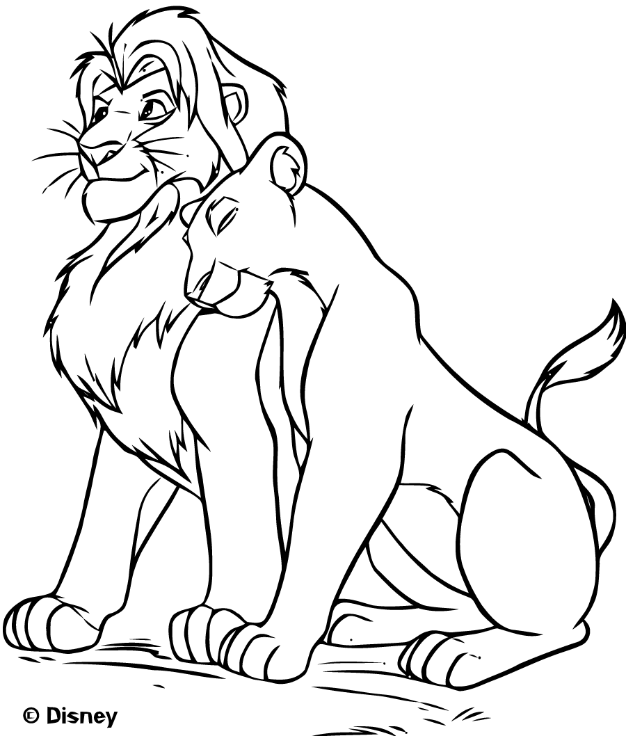 Le roi lion 5