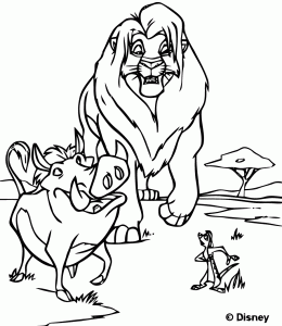 Simba et Pumbaa le phacochère