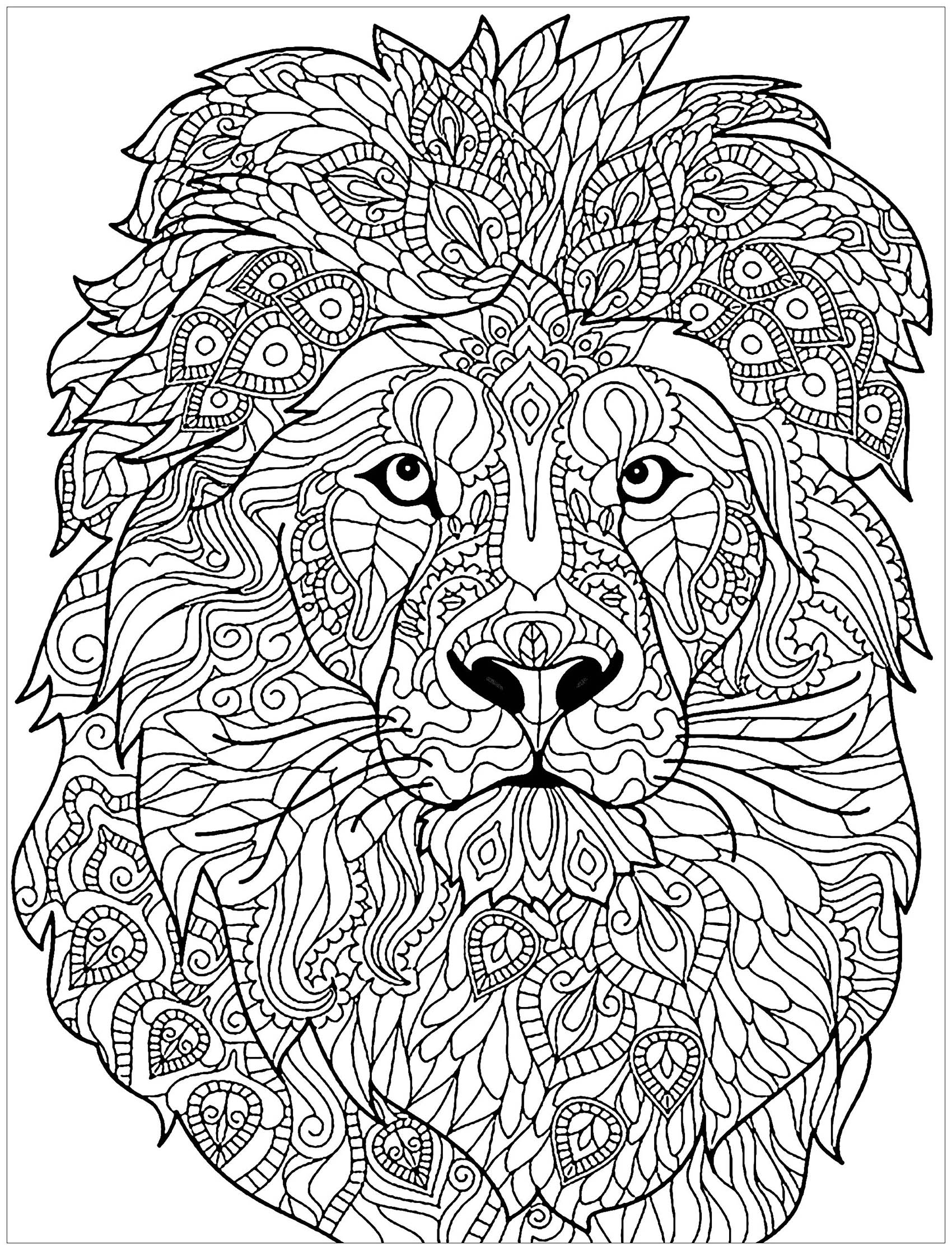 Tête de lion avec motifs complexes à colorier
