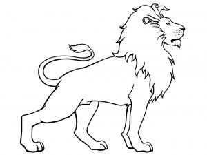 Lion debout